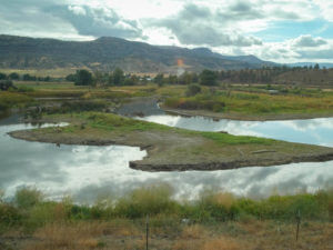 Cavender Wetlands