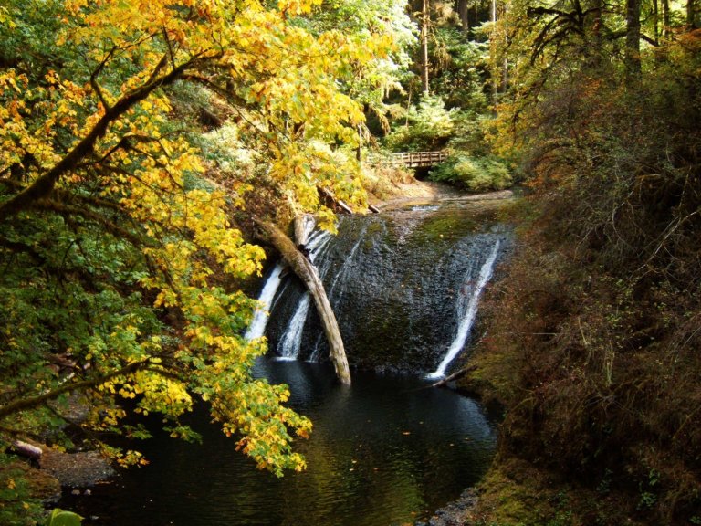 Lower North Falls, Silver Falls State Park