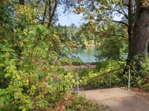 A view of the Willamette River at Champoeg State Park.