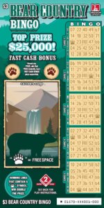 Bear Country Bingo Front