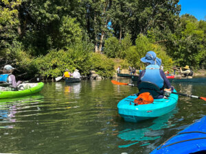 A group of volunteers paddling kayaks and canoes on the Willamette River.