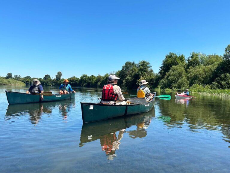 People paddling watercraft on a sunny day in the Willamette River.