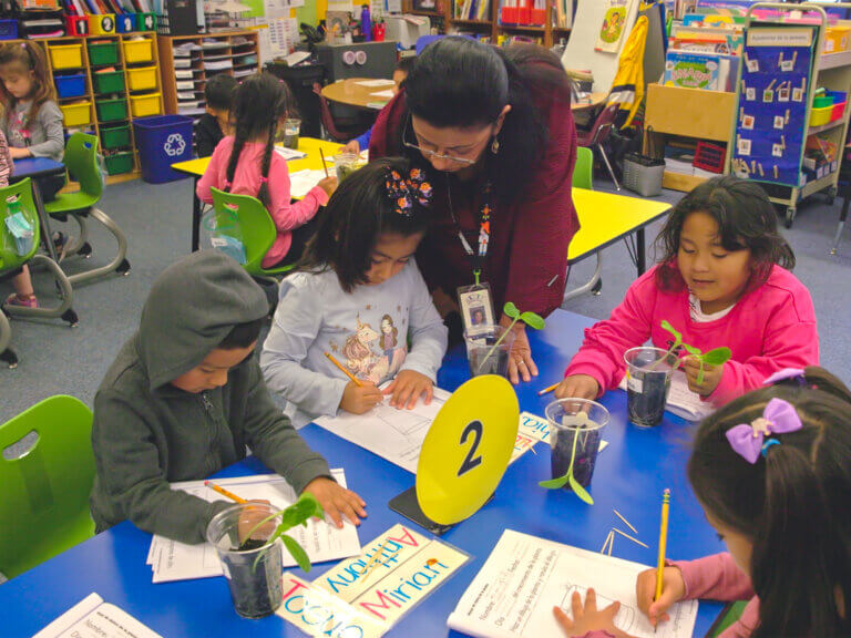 A teacher works with a group of kindergarten students on a seed sprouting project.